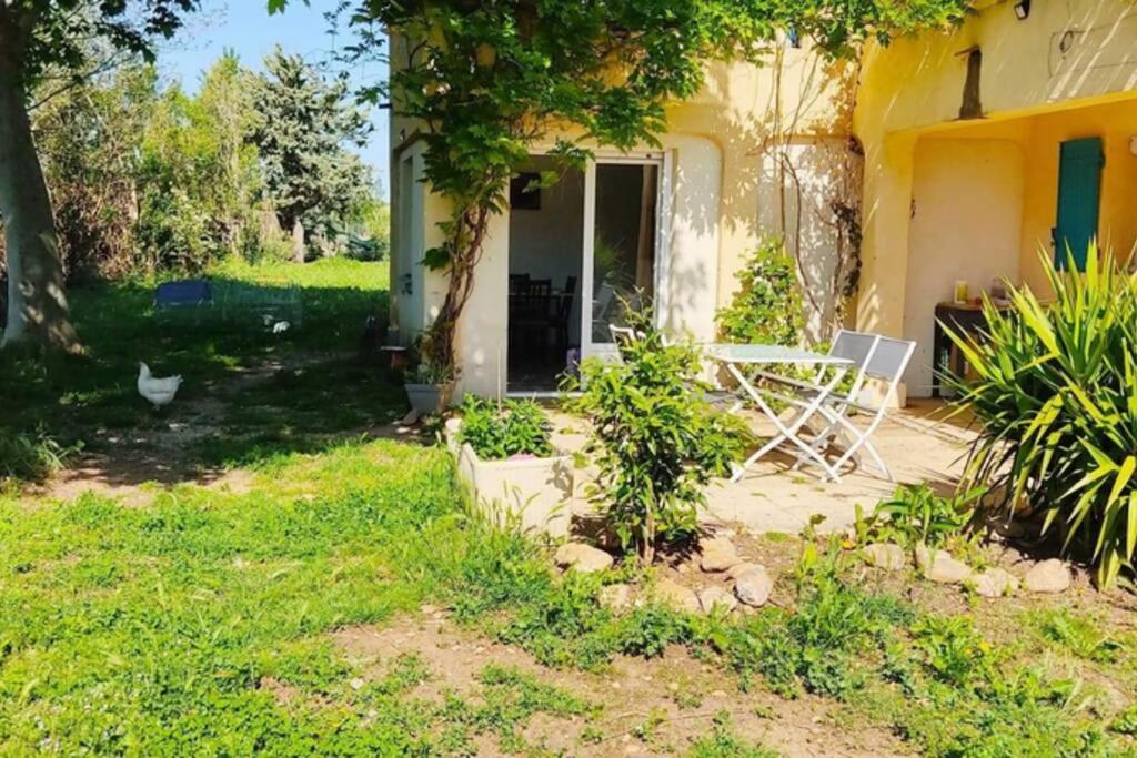 Offrez-Vous Un Sejour Dans Notre Gite A Entressen Une Grande Piscine Pour Se Rafraichir ,Un Espace De Jeux Pour Enfants Pour Des Heures De Divertissement Un Terrain De Petanque Pour Des Parties Endiablees المظهر الخارجي الصورة